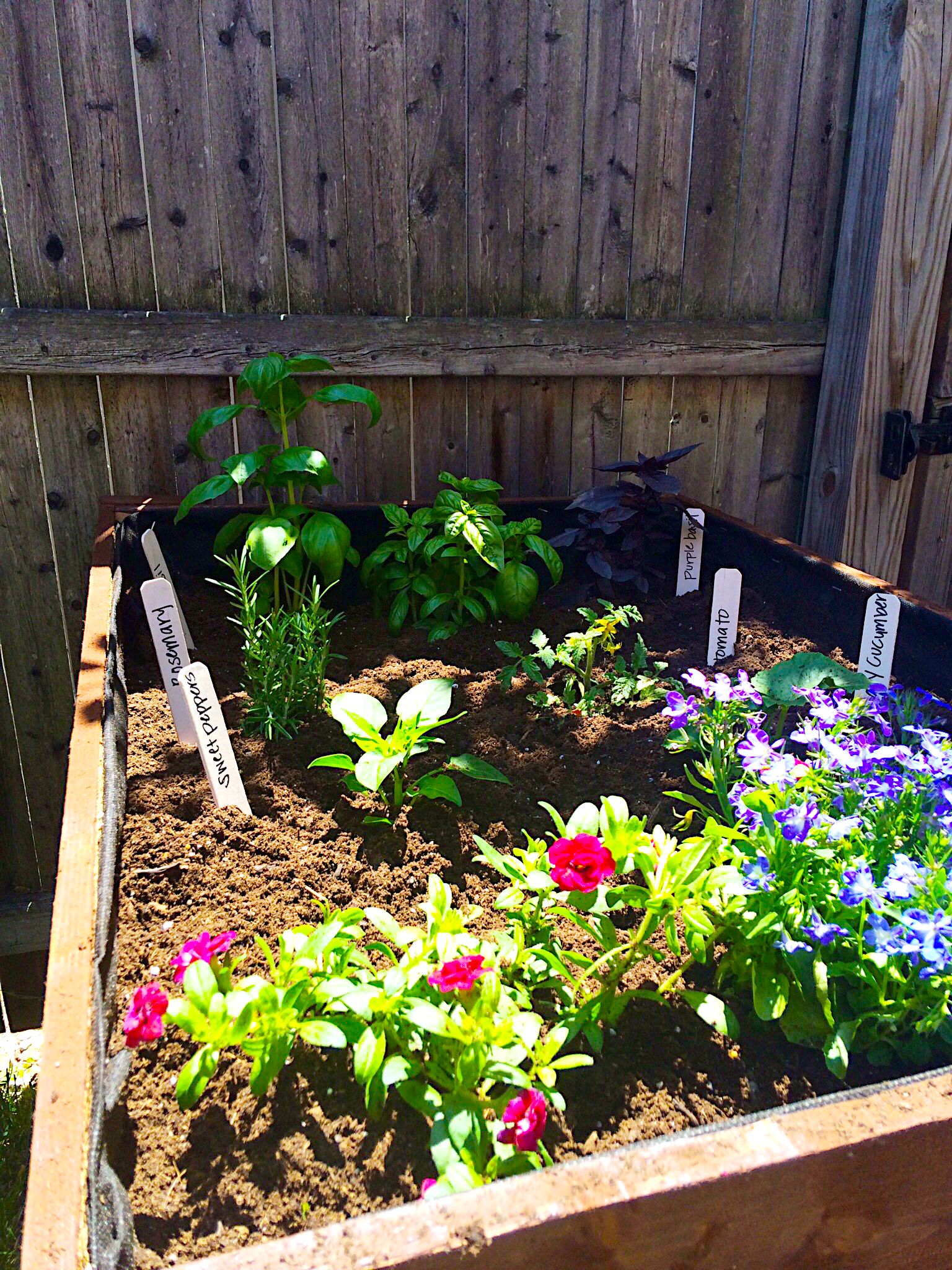 Small Raised Bed Herb Garden Layout