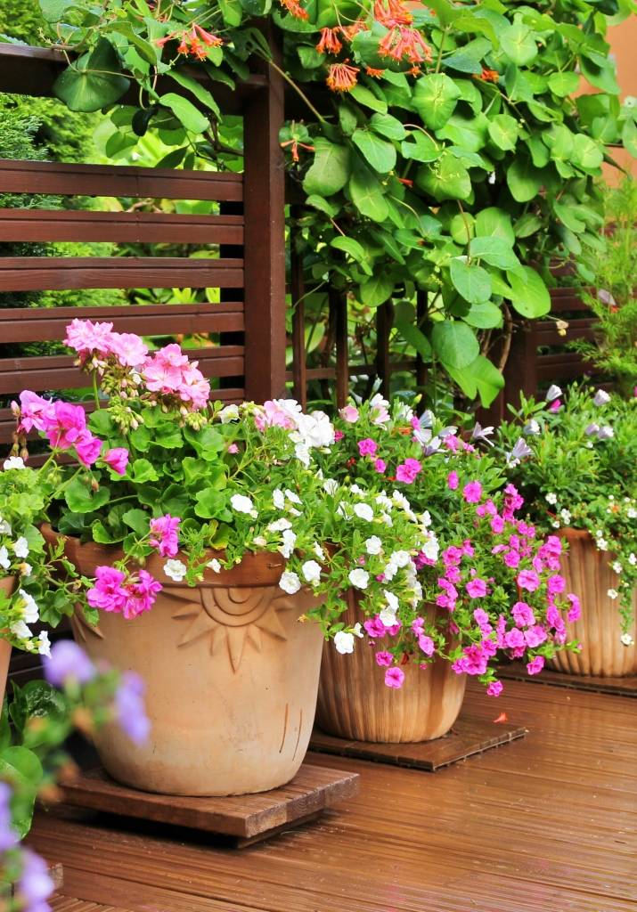Fantastic Garden Arrangement Ideas