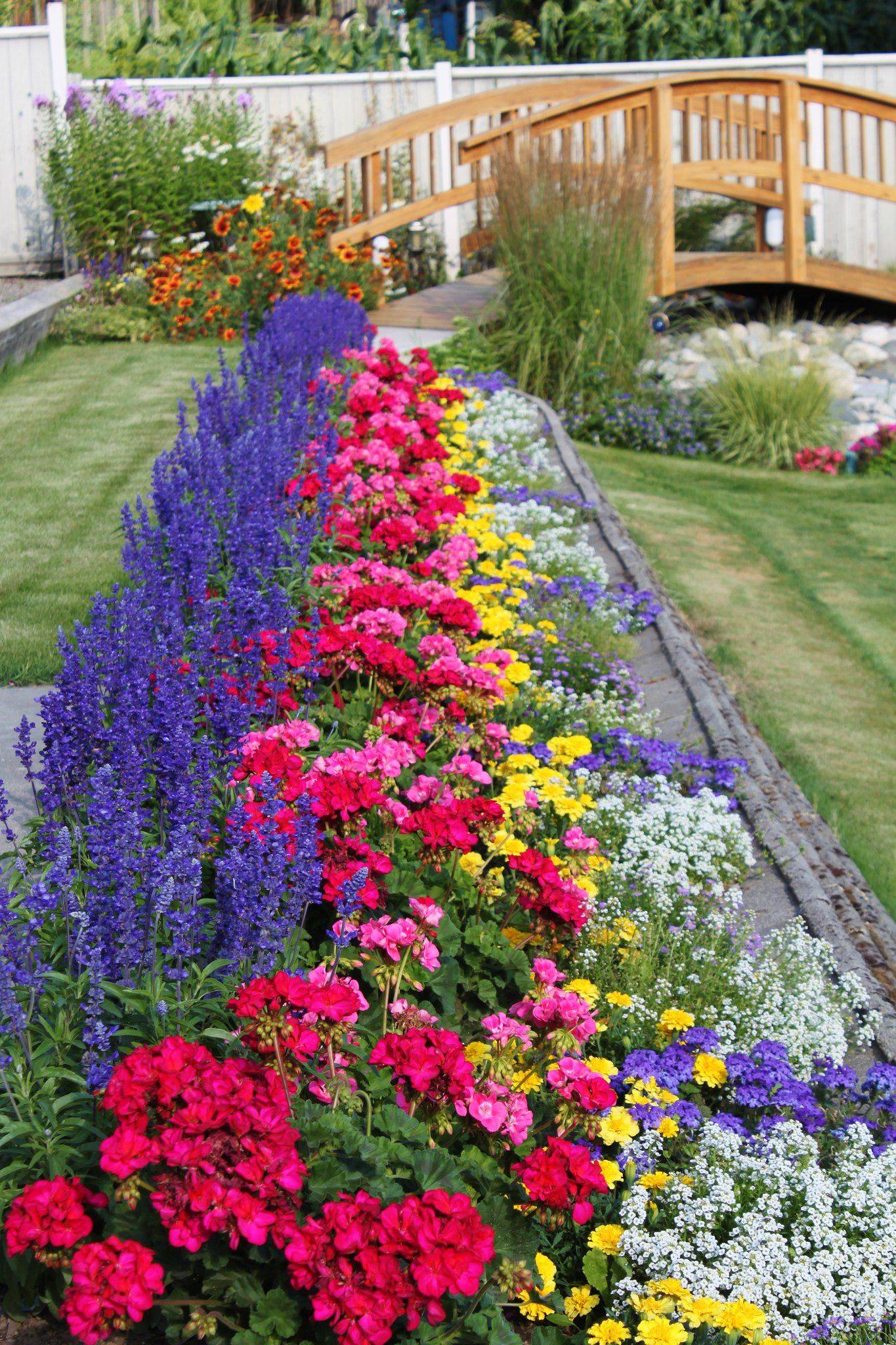Summer Flower Garden Border Ideas