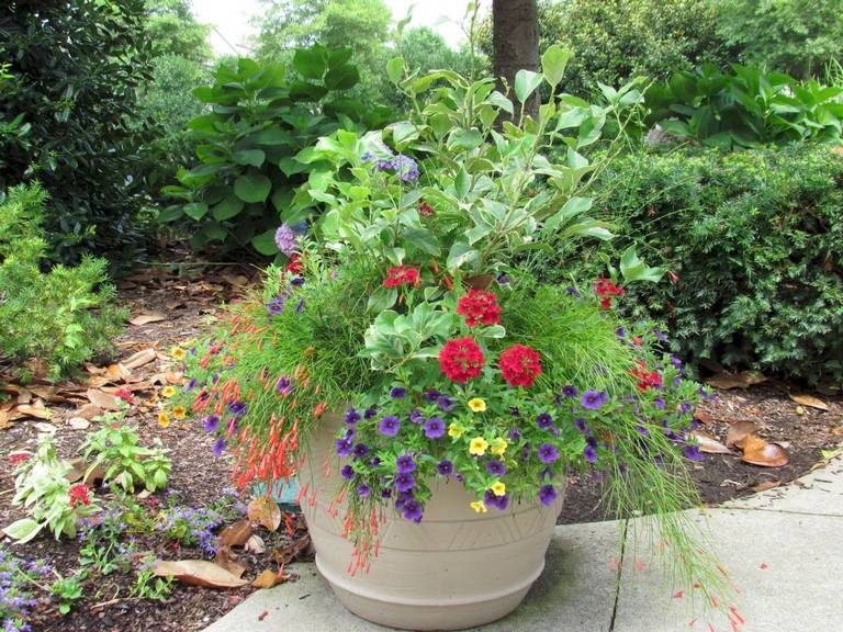 Wonderful Summer Container Garden Flower Ideas Page