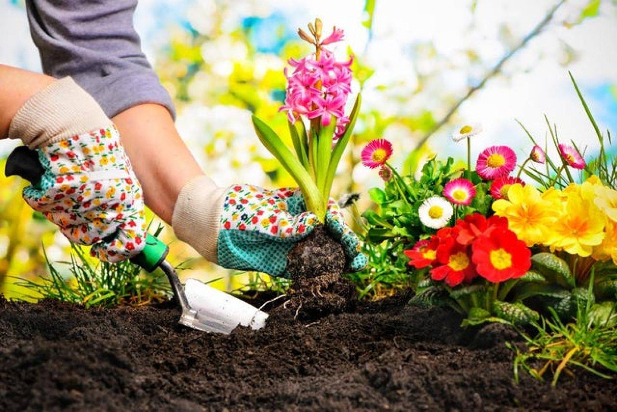 Wondeful Summer Container Gardening Ideas Decorations