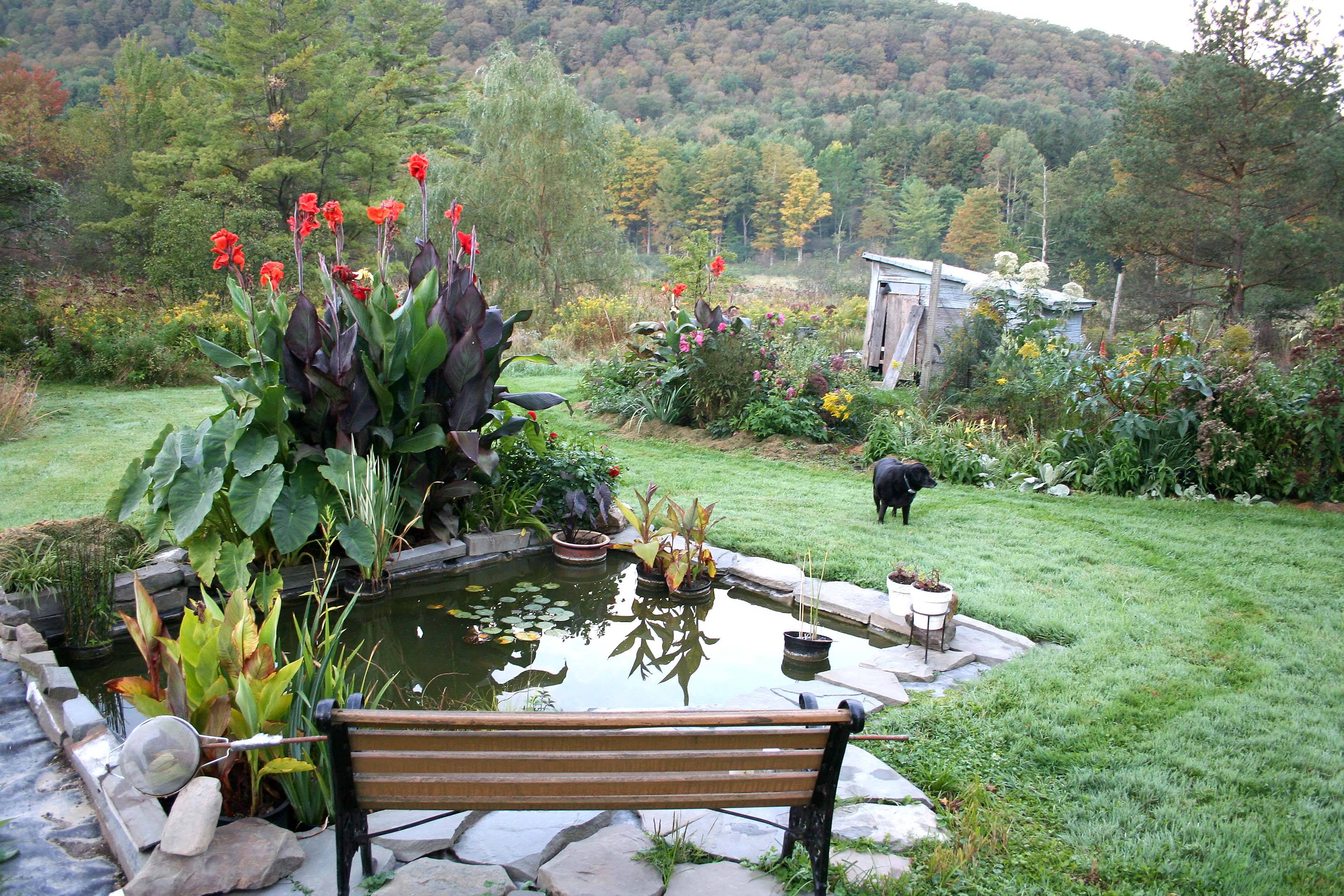 Summer Garden Tips Weekend