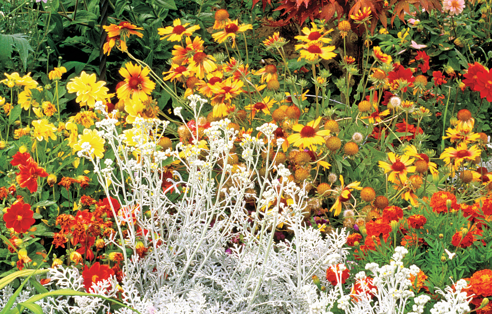 Amazing Flower Garden Ideas