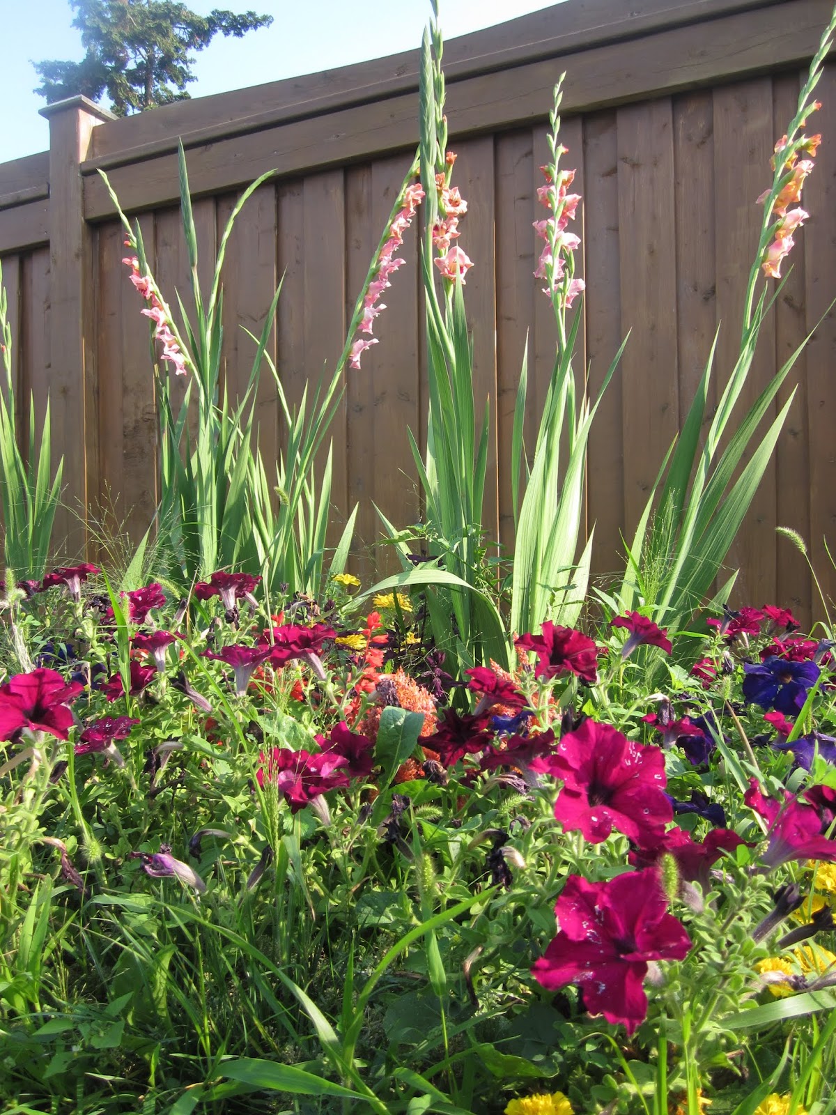 Late Summer Gardens
