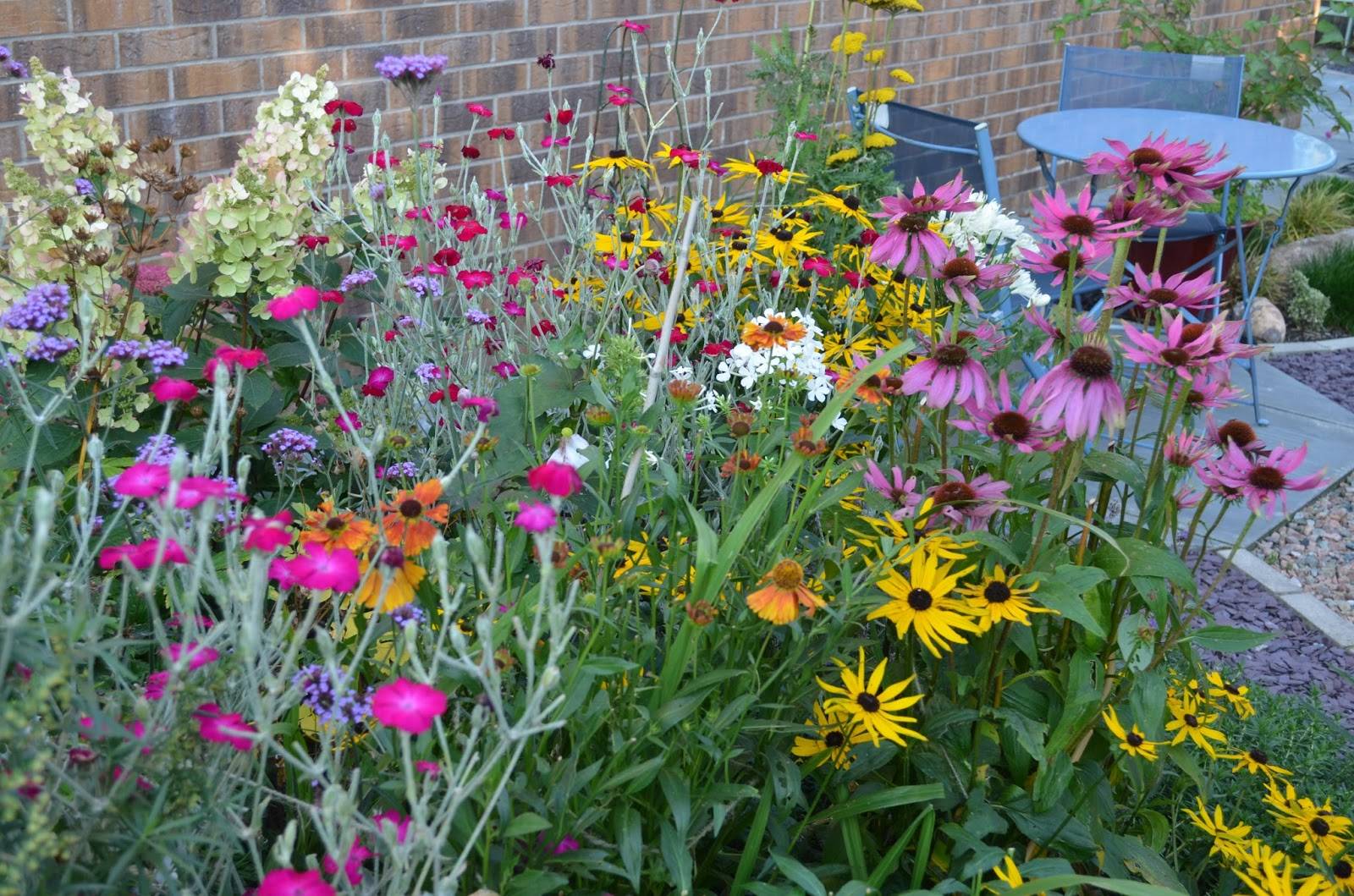 Late Summer Flowers