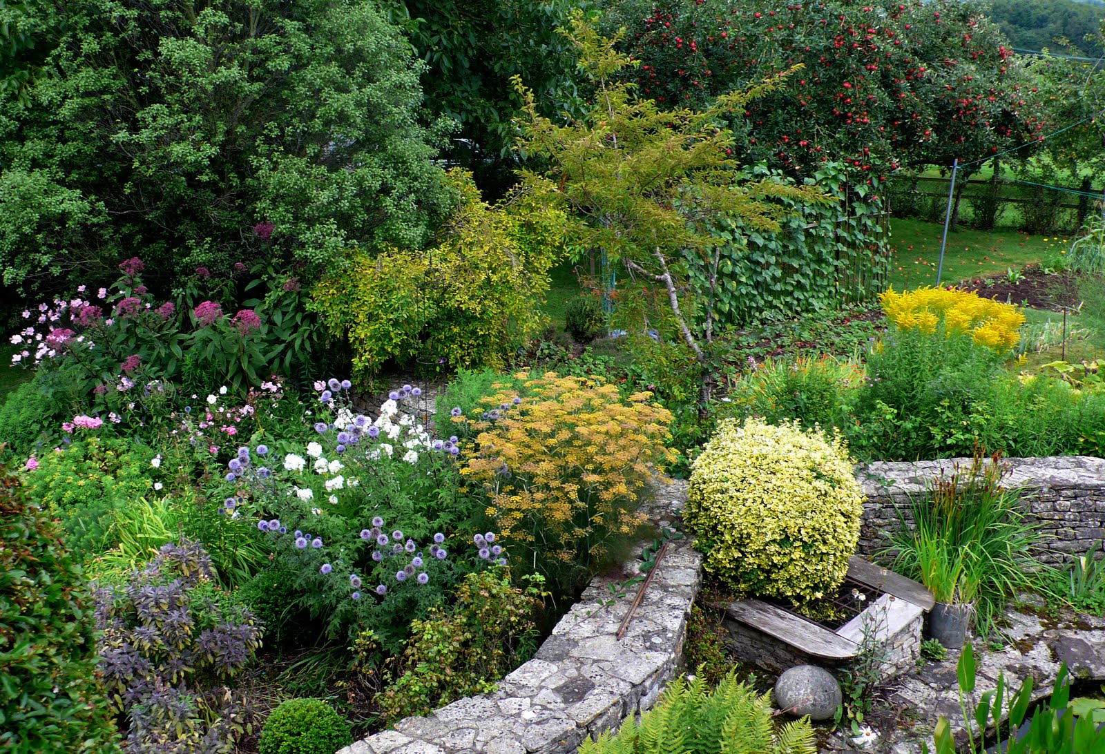 The Late Summer Garden