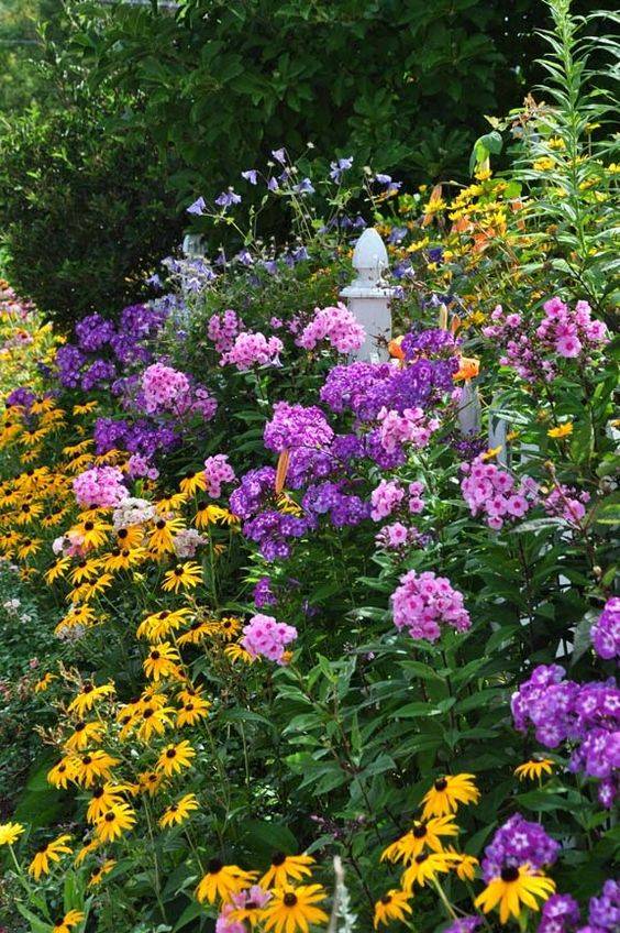My Late Summer Garden