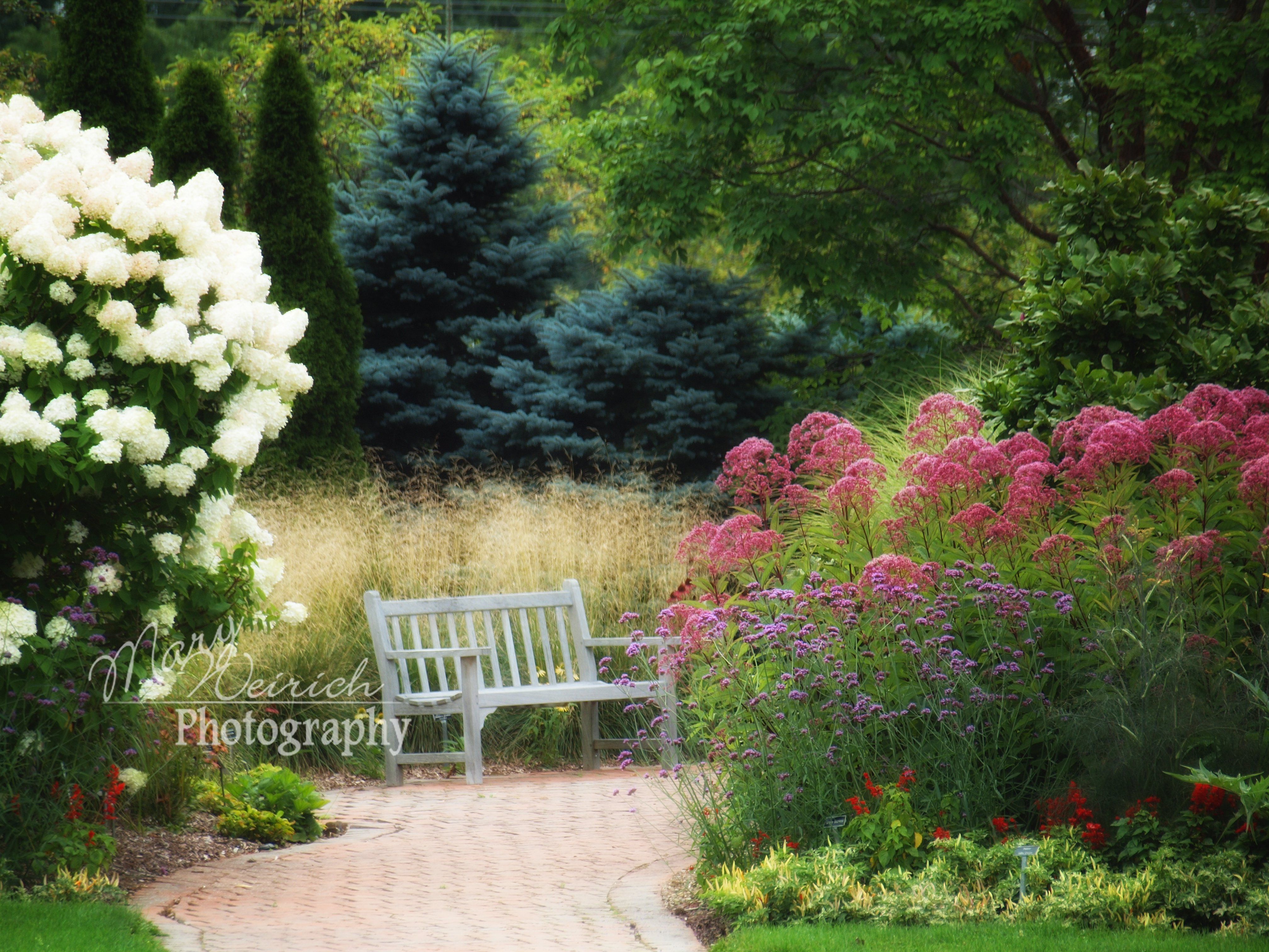 Late Summer Garden Tips Fairview Garden Center