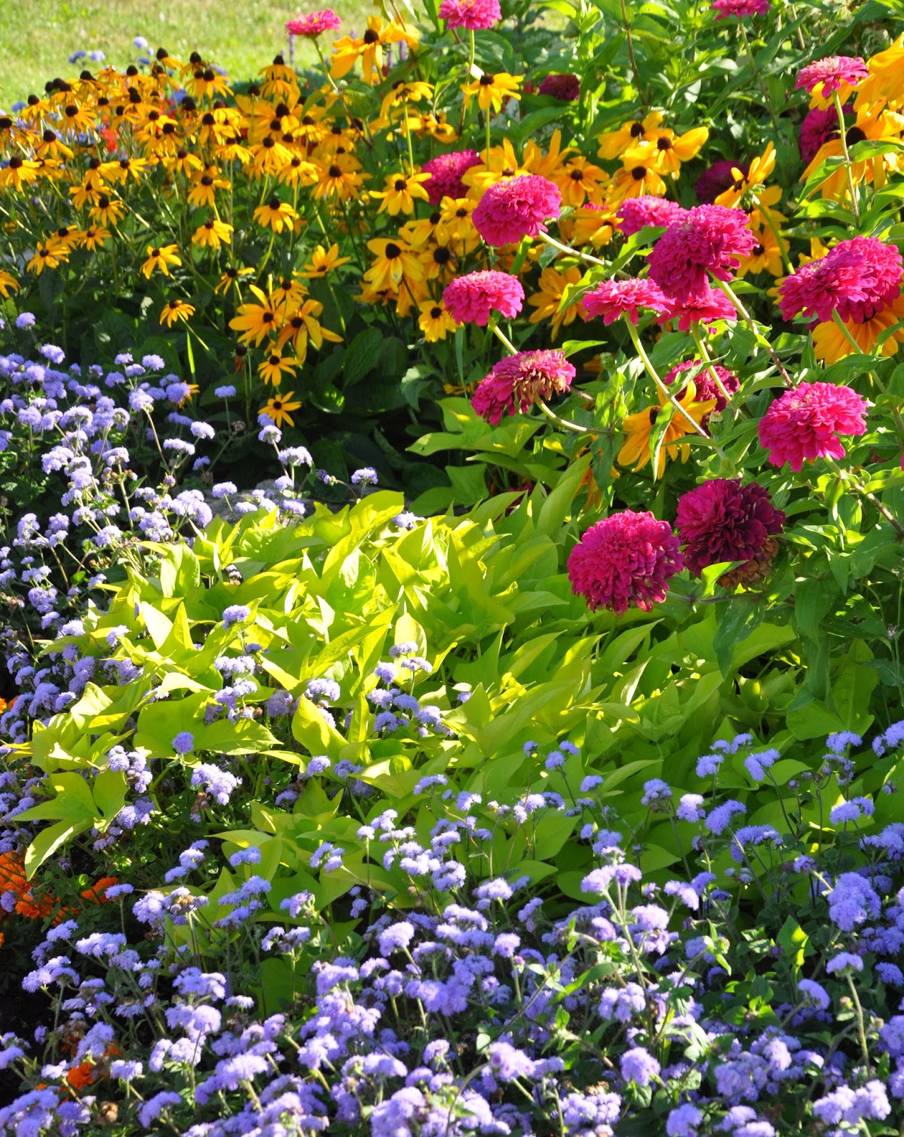 Late Summer Garden Tips Fairview Garden Center