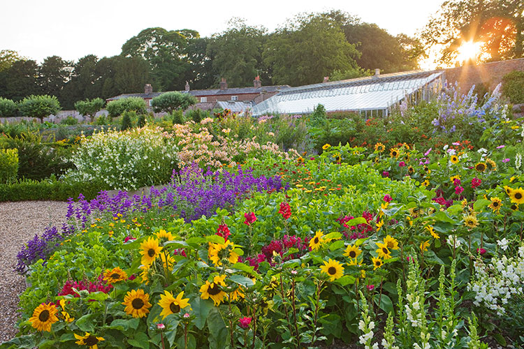 Planted Flower Garden