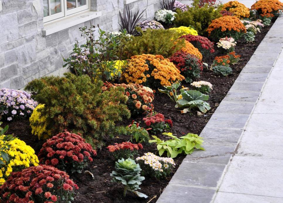 Diy Gardening Ideas