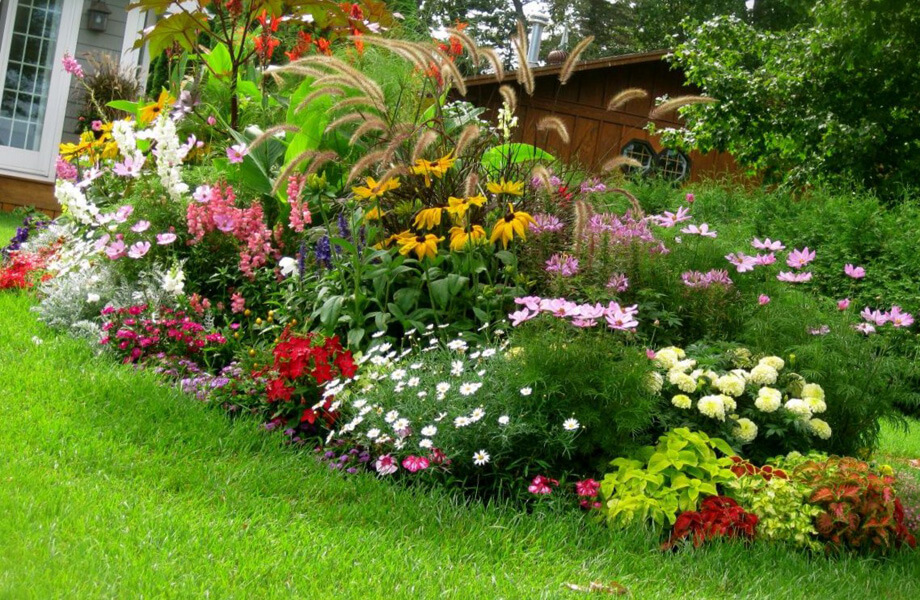 Beautiful Fall Flowers To Plant