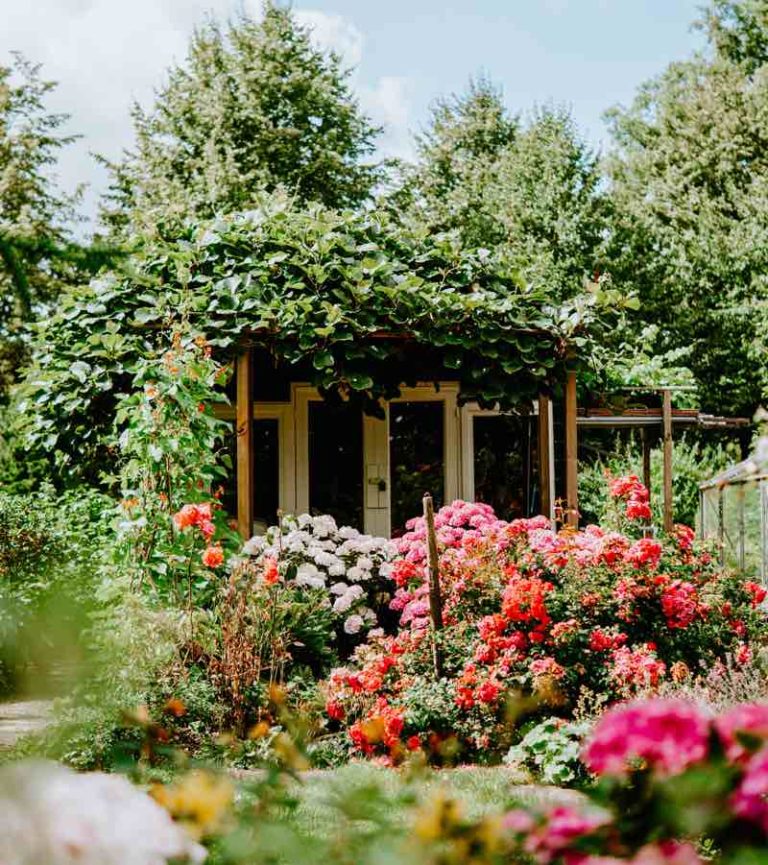Beautyful And Creative Flower Bed Ideas
