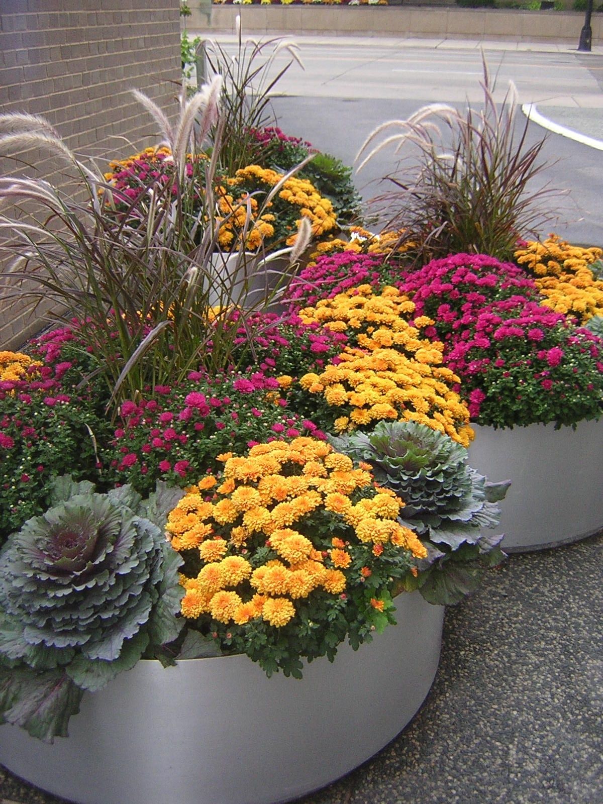 More Flower And Gardens Ideas