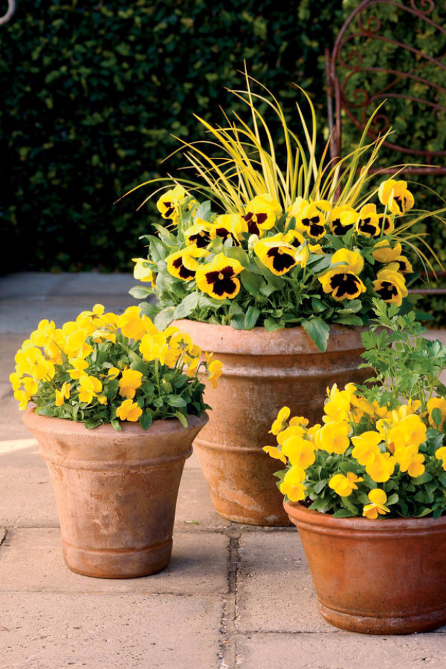 Simple Landscaping Ideas