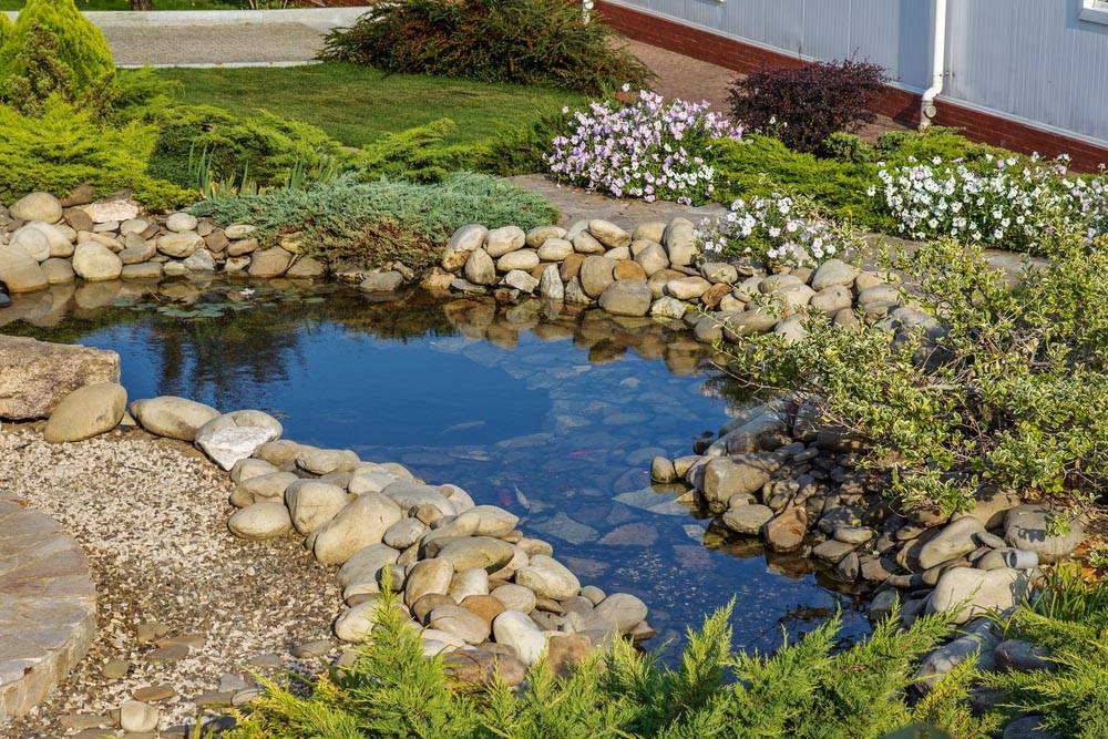 Super Cool Backyard Garden Ideas
