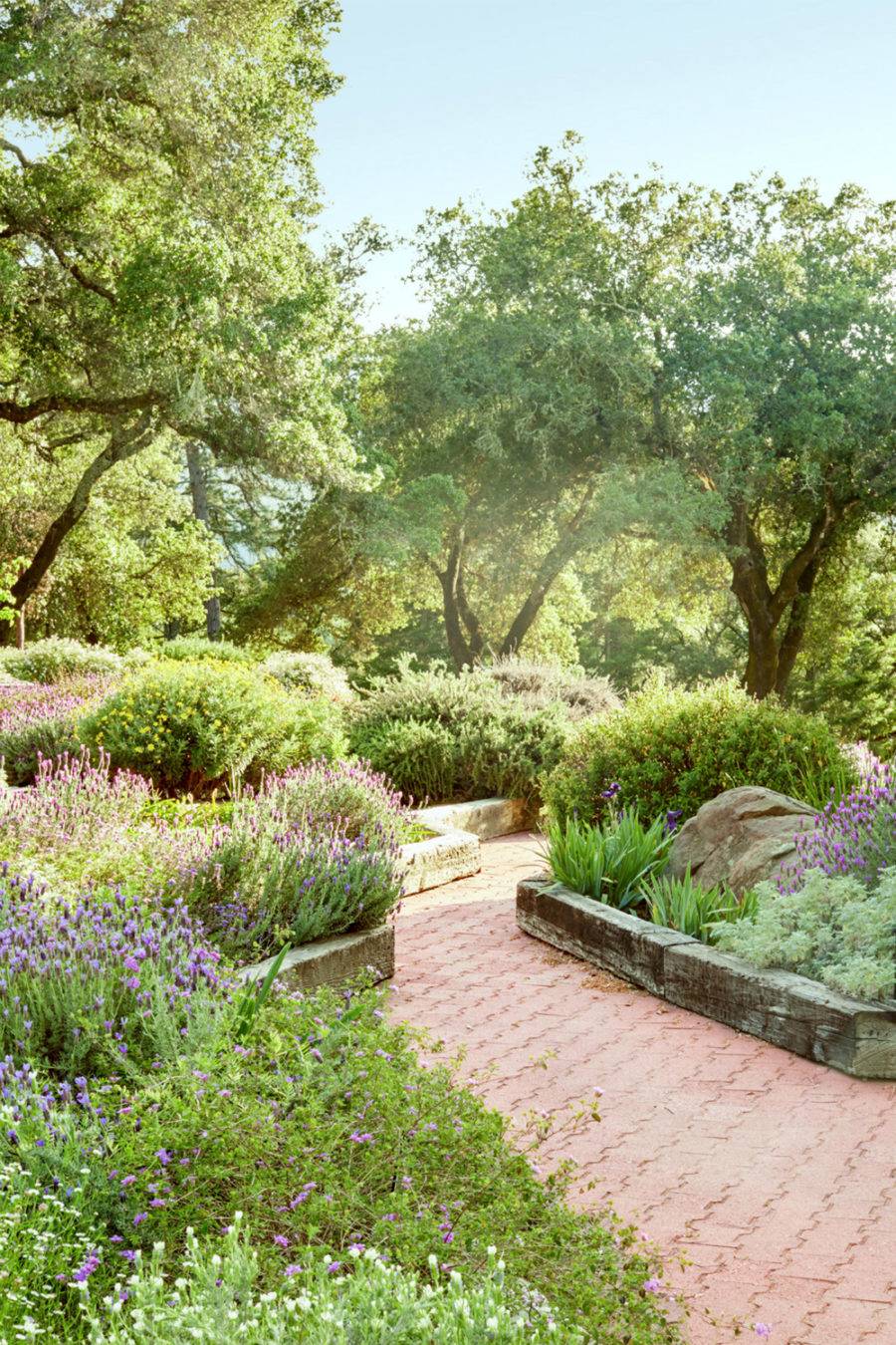 Super Cool Backyard Garden Ideas