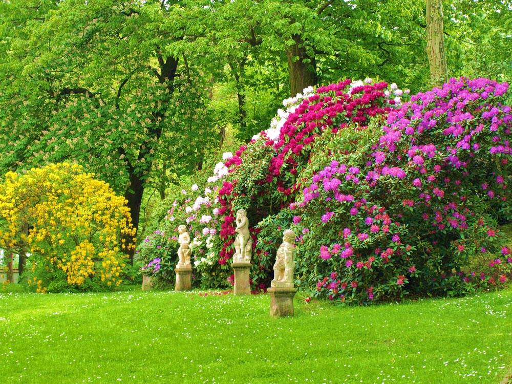 Cool Unique Rock Garden Ideas