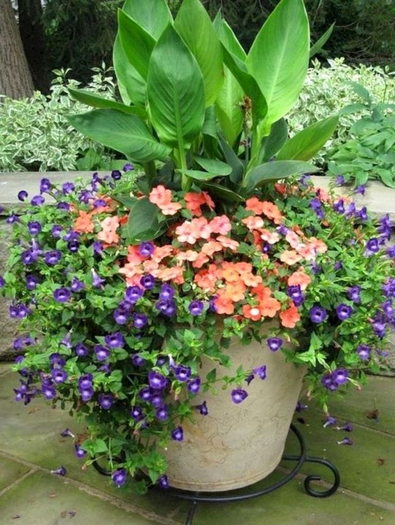 Wonderful Summer Container Garden Flower Ideas Flower Pots