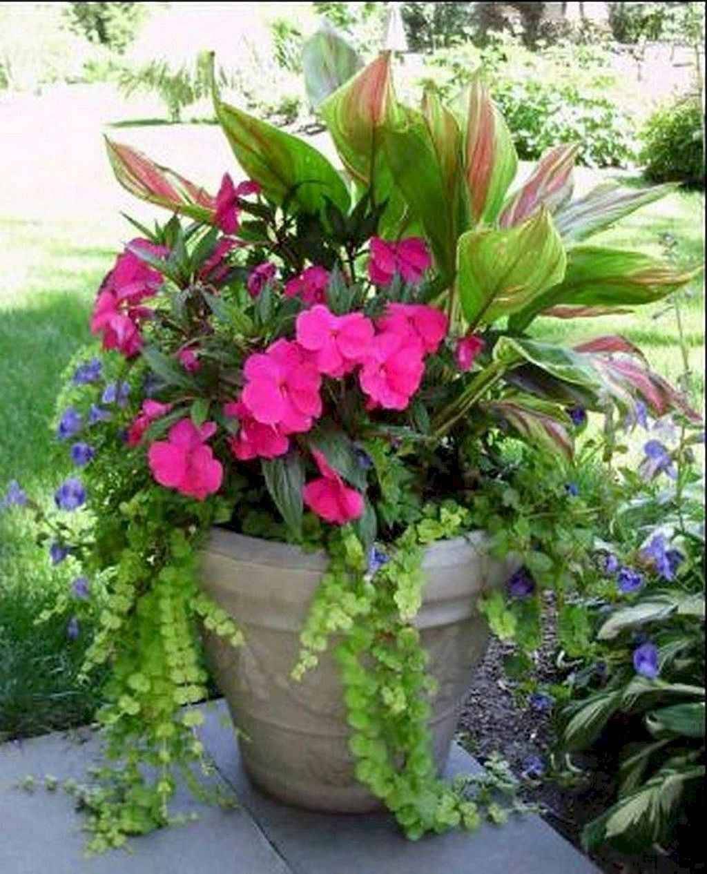Wonderful Summer Container Garden Flower Ideas