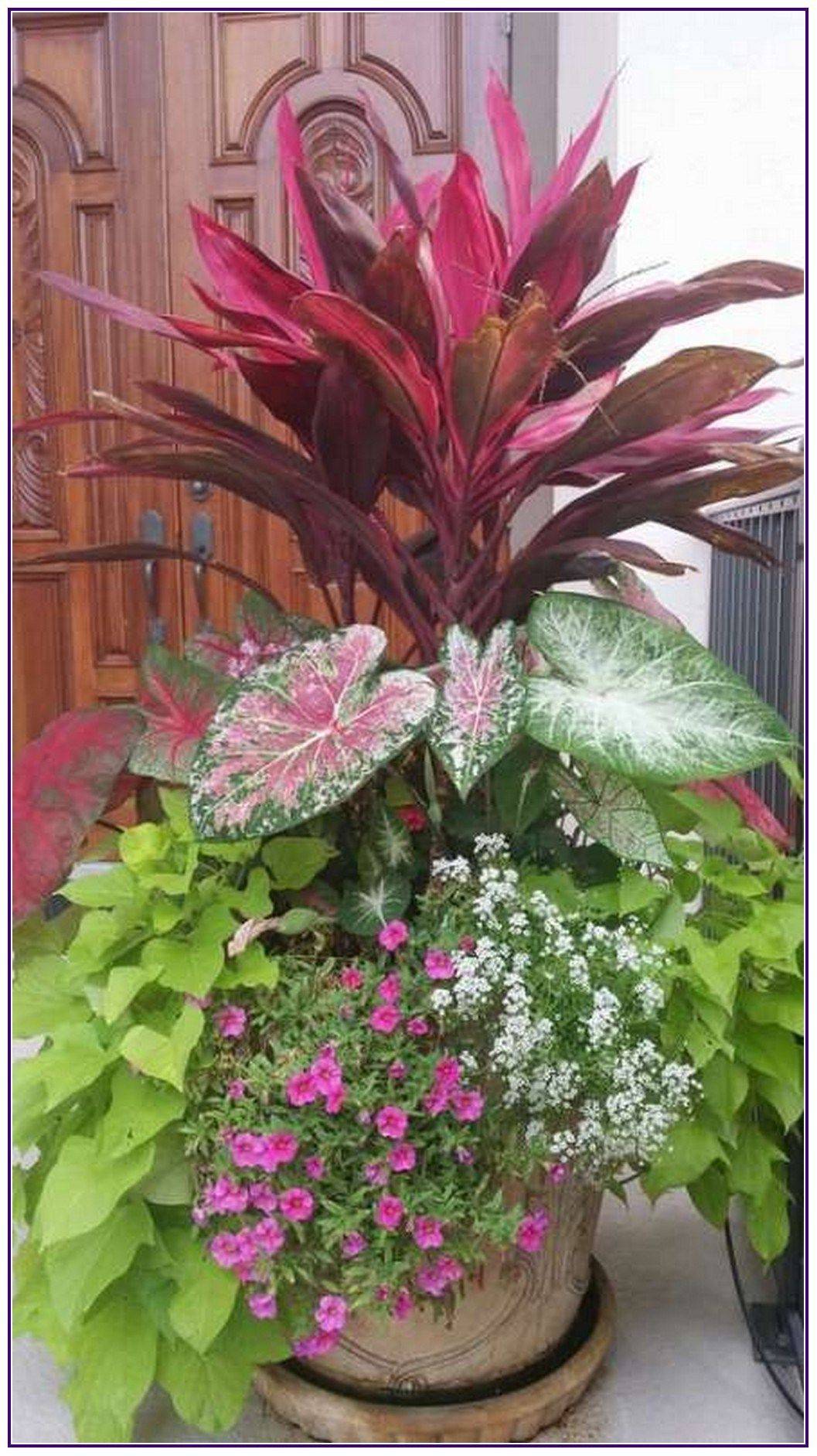 Beautiful Summer Container Garden Flowers Ideas Container Flowers