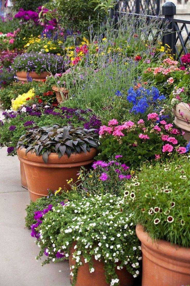 Fresh And Easy Summer Container Garden Flowers Ideas Flowerpot