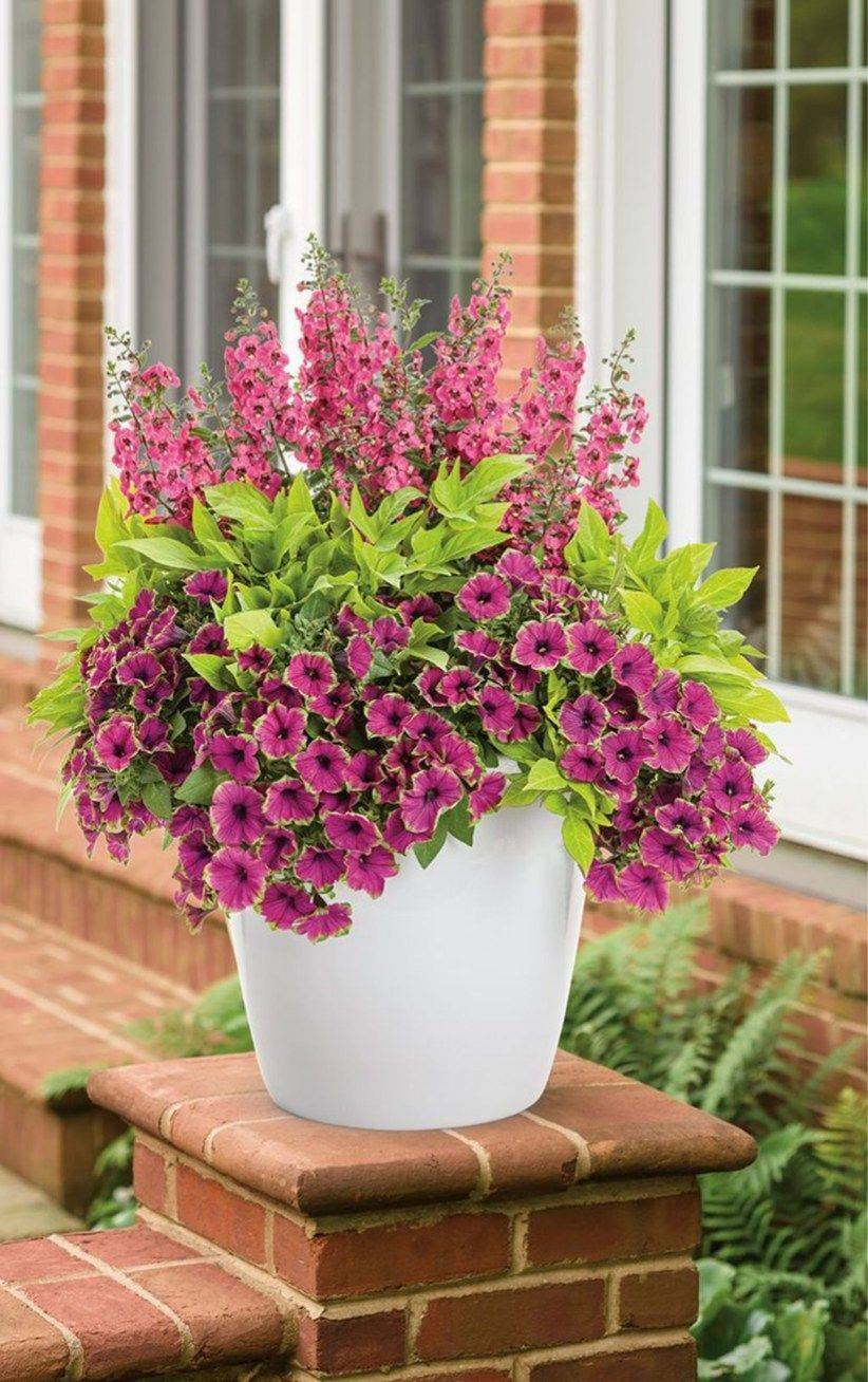Awesome Beautiful Container Garden Flowers Ideas