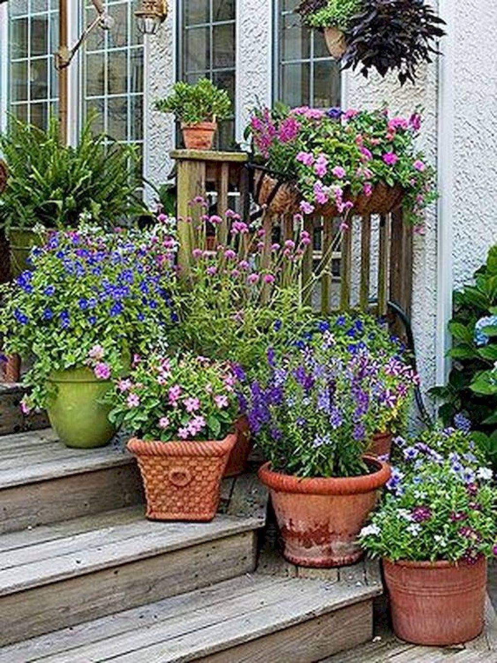 Easy Summer Container Garden Flowers Ideas