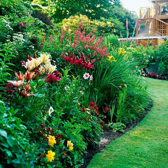 Sunny Garden Designs Perennial Flower Garden