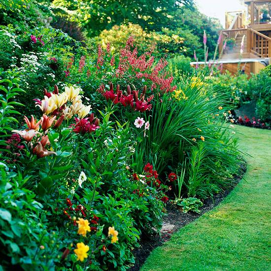 Sunny Garden Designs Perennial Flower Garden