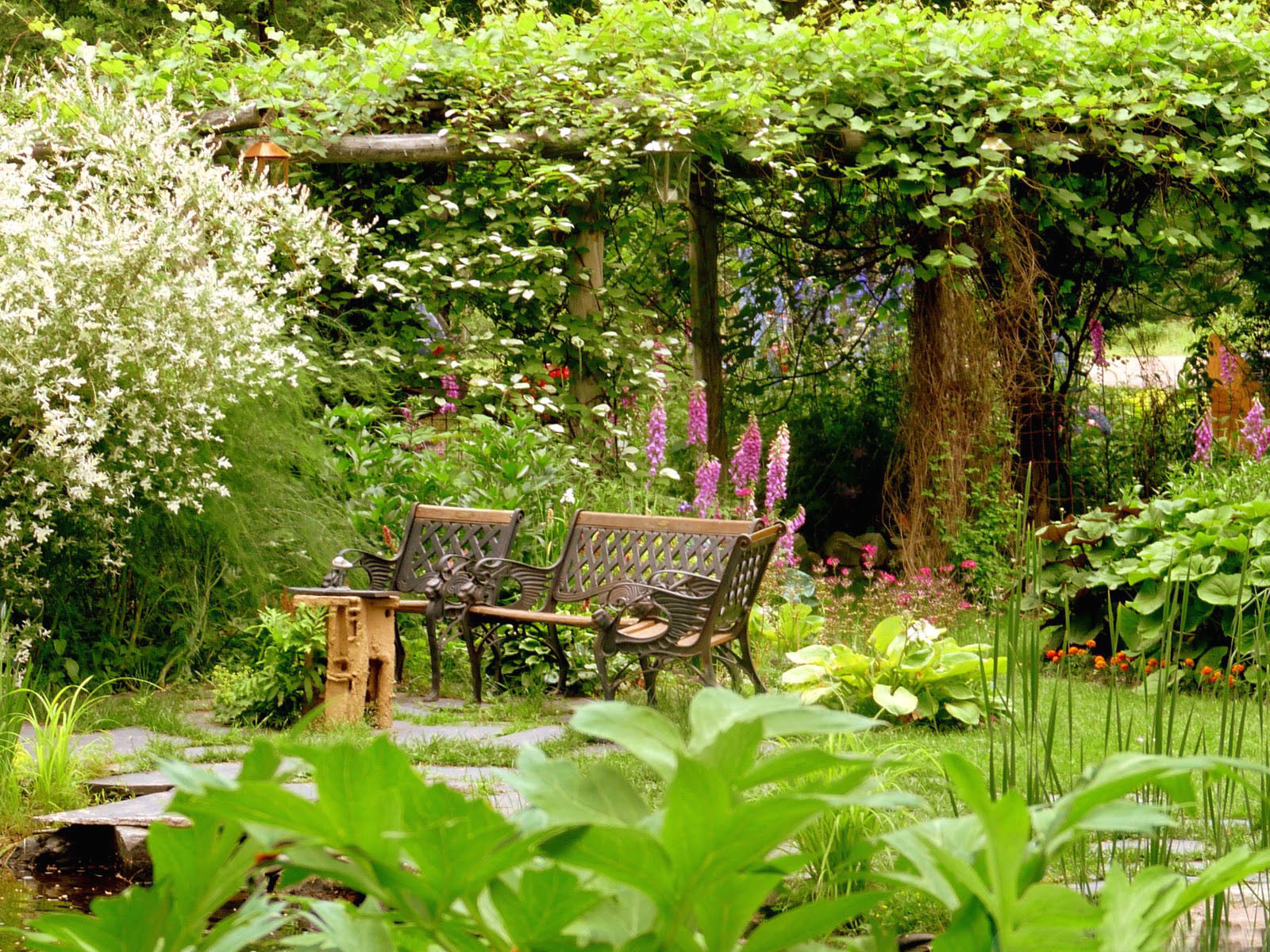 Peaceful Summer Garden Pictures