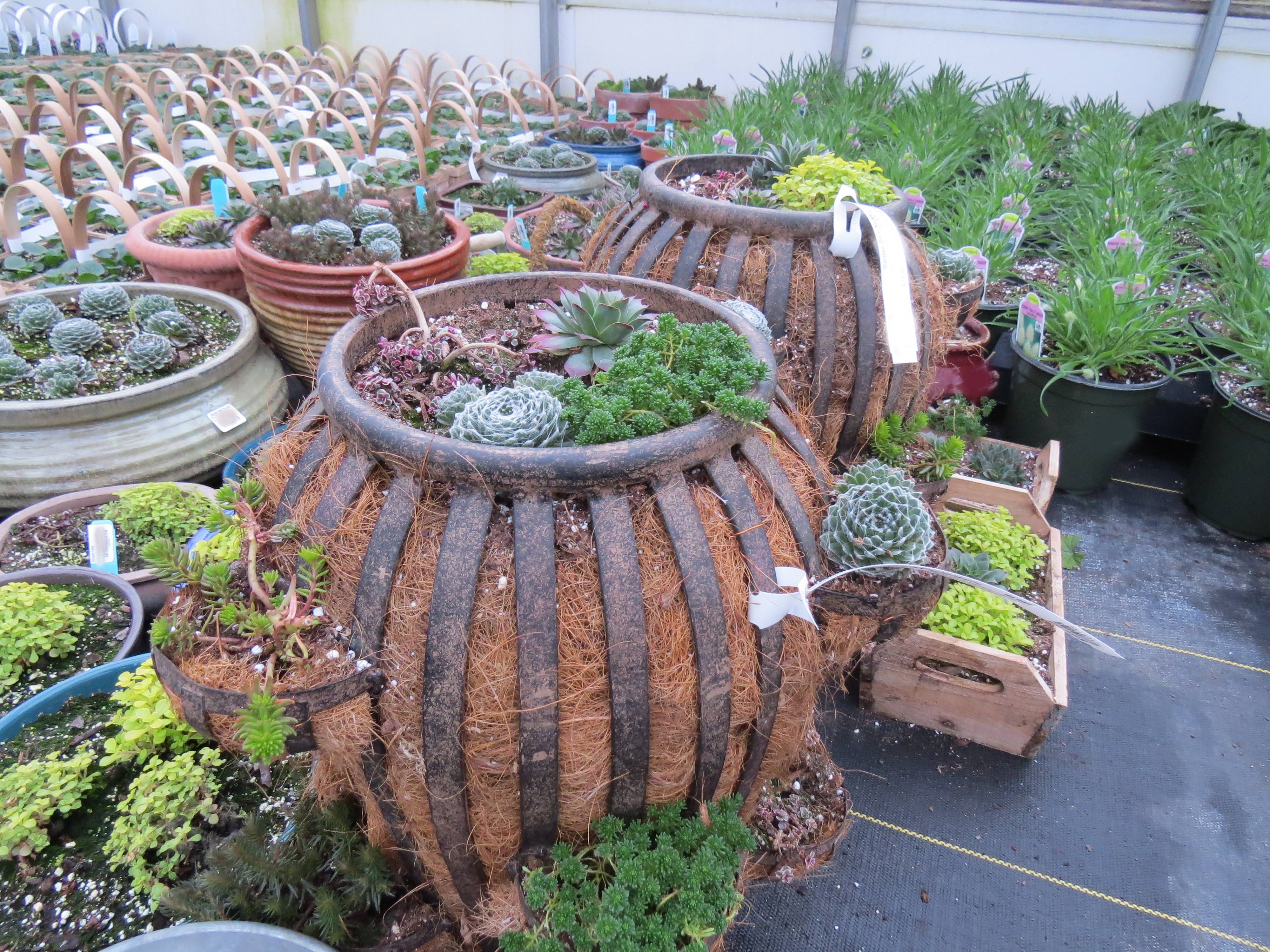 Unique Container Gardening Ideas Modern Glam