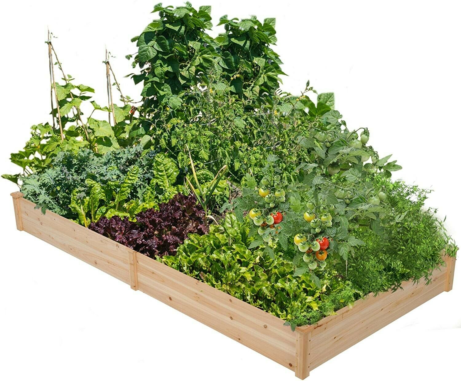 Raised Garden Bed Planter Flower Vegetable Cedar Box Kit Outdoor Plant