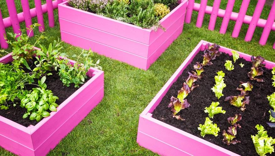 Backyard Raised Bed Garden Ideas