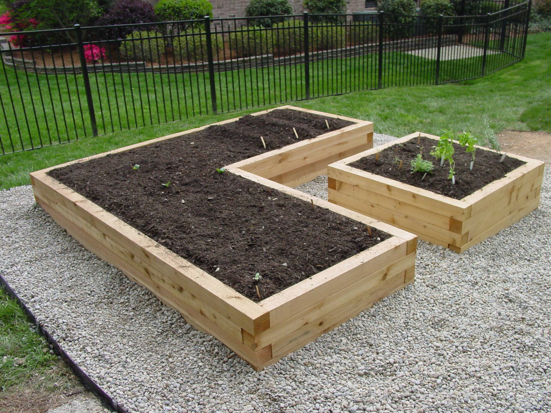 A Beautiful Raised Garden Bed