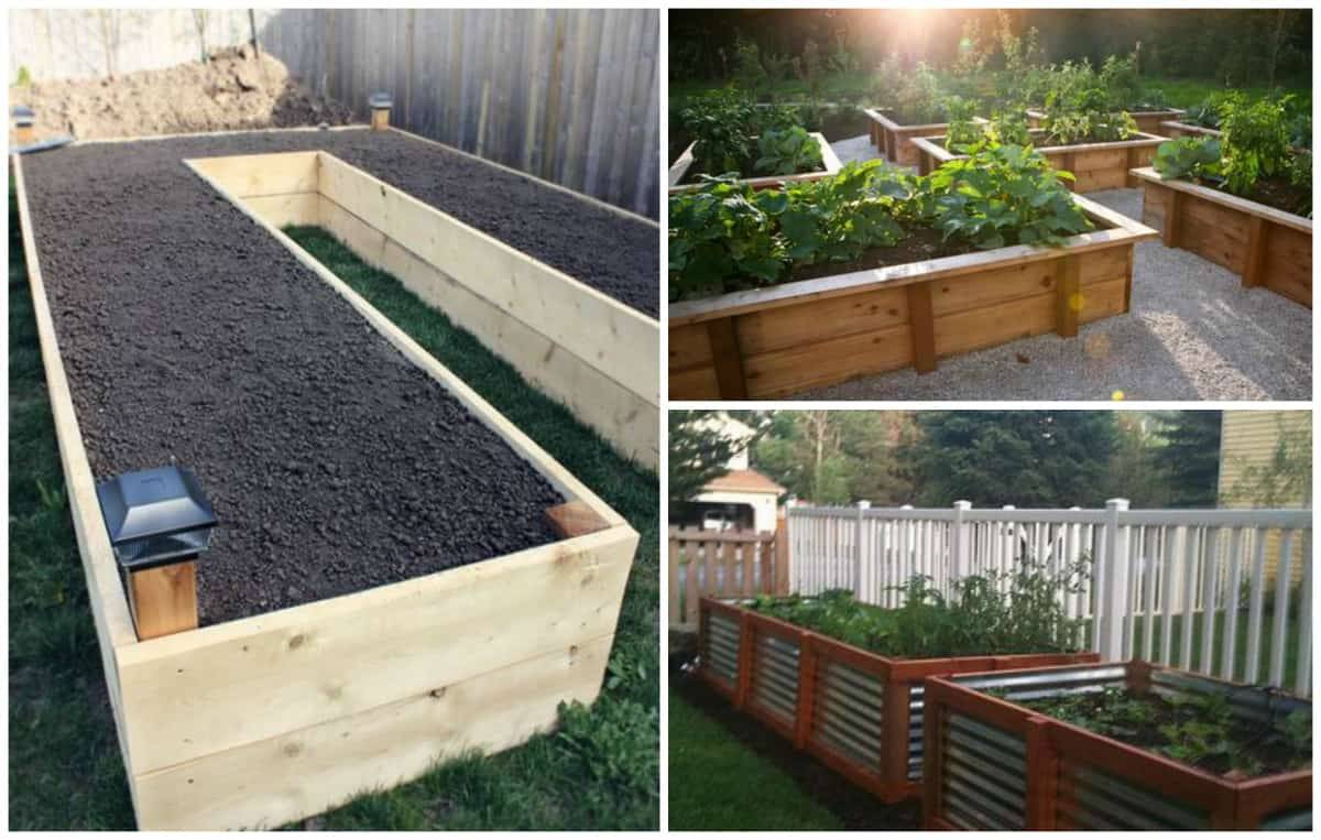 Build Raised Garden Beds