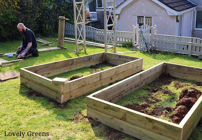 Our New Raised Beds Hometalk