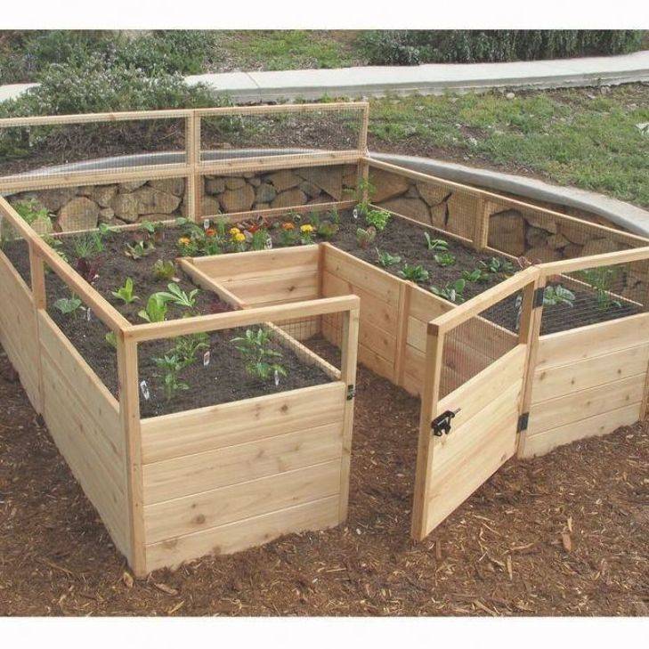 Best Raised Bed Design Garden Layout