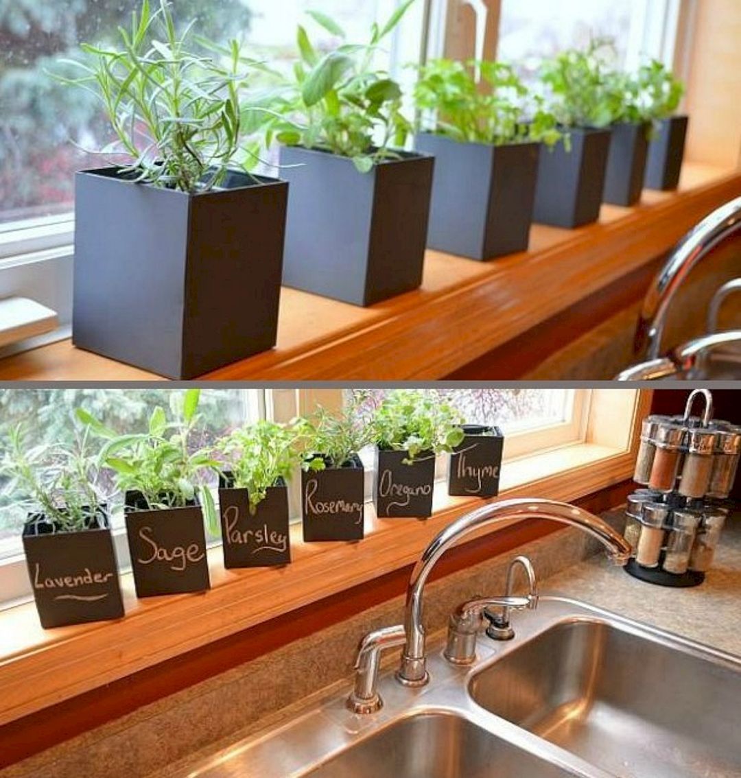 The Best Indoor Herb Garden Ideas
