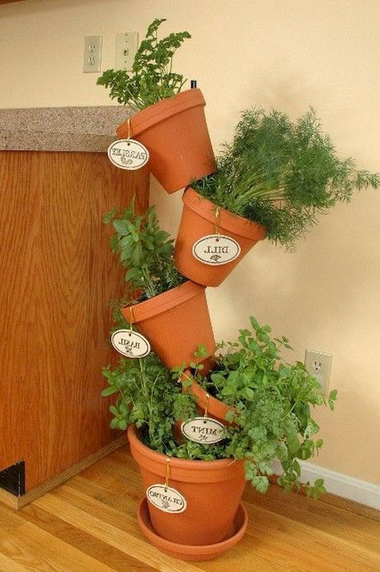 The Best Indoor Herb Garden Ideas