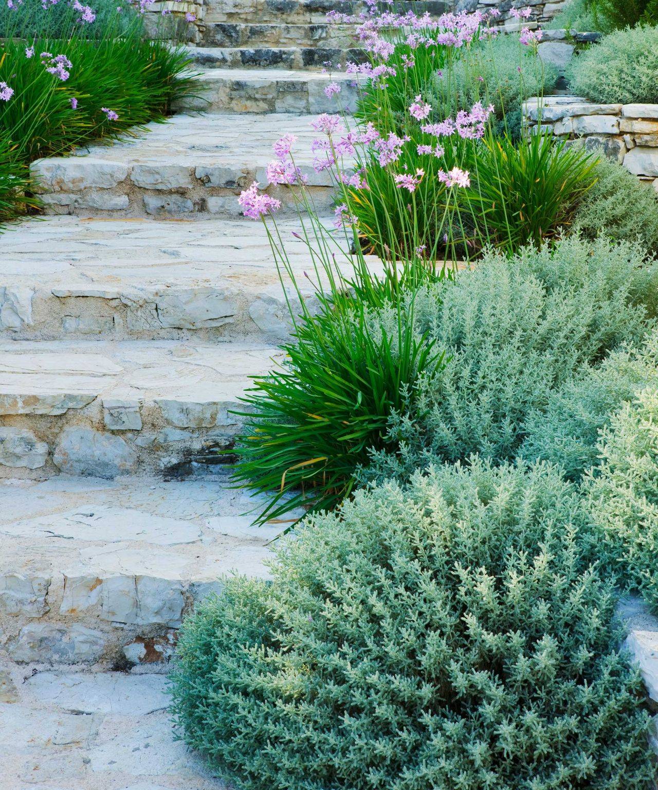 Greek Style Garden Design Chelsea