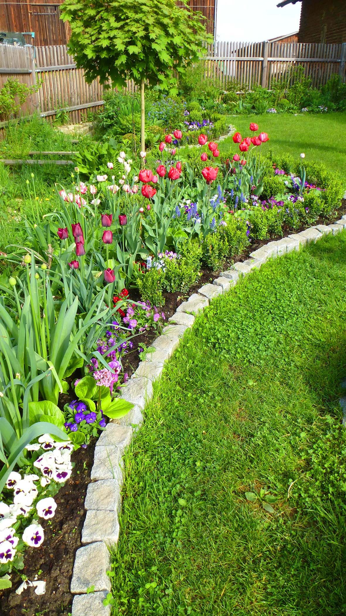 Landscape Design Ideas