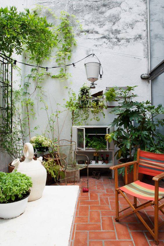 Backyard Inspiration