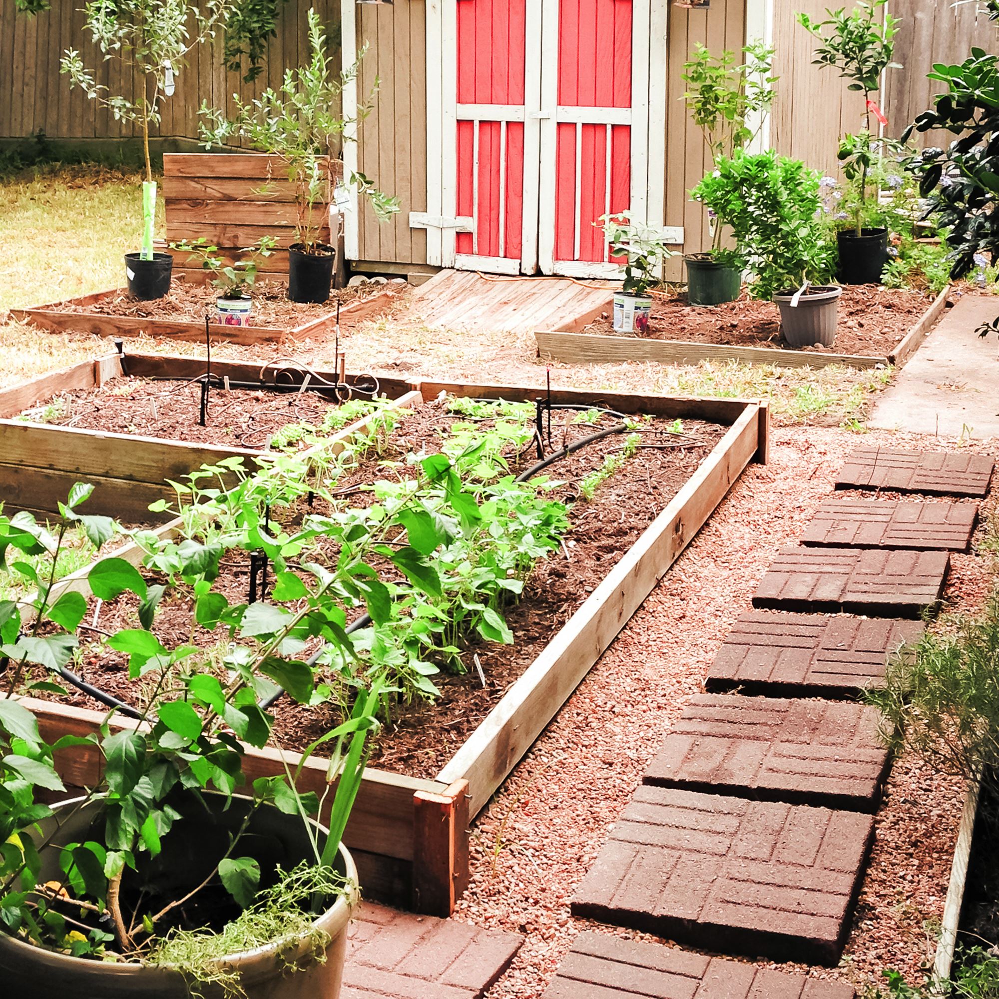 Diy Creative Patio Vegetable Garden Containers Ideas Viraldecoration
