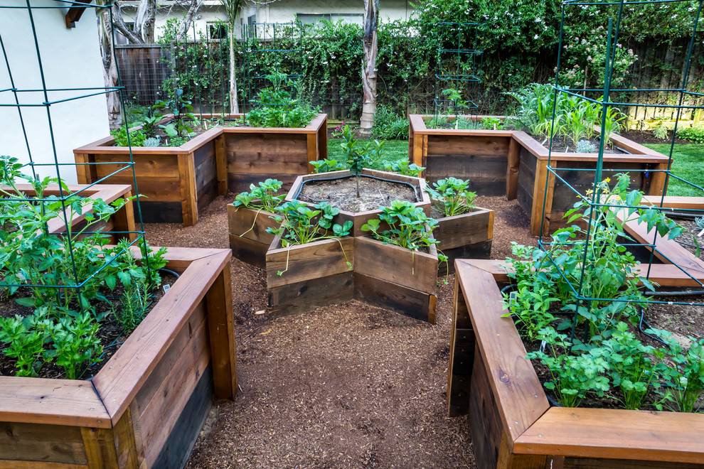 Best Diy Raised Bed Garden Ideas