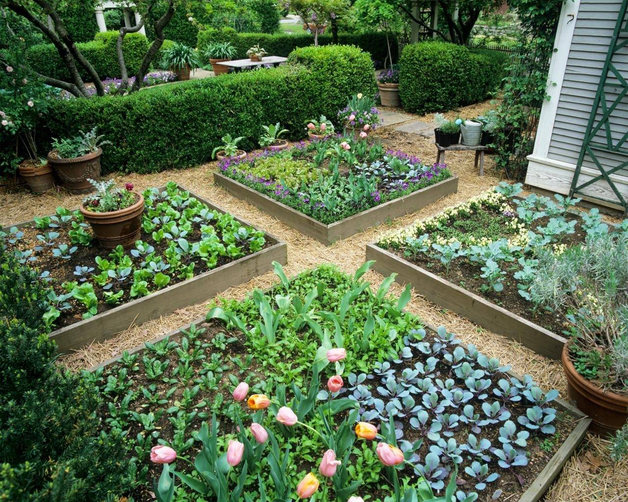 Stock Photo Raised Beds