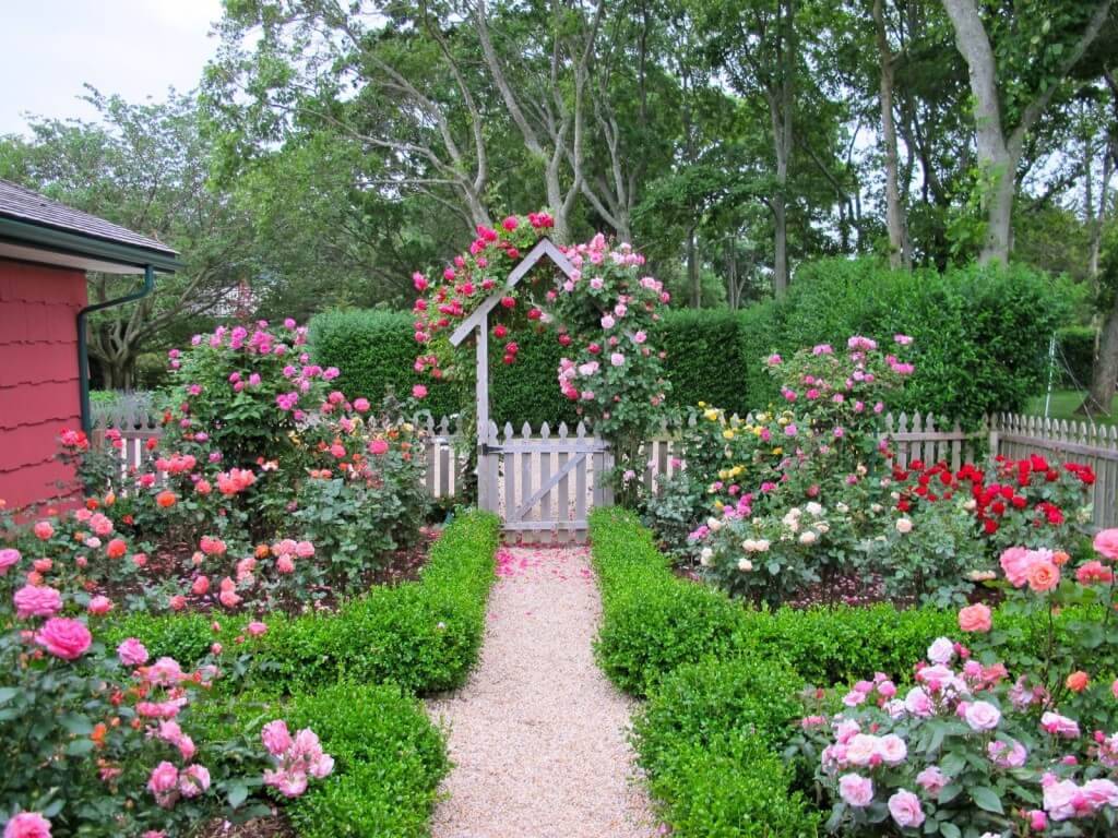 A Cottage Garden And Design Ideas Decorelated