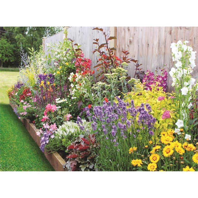 English Cottage Border Cottage Garden Borders