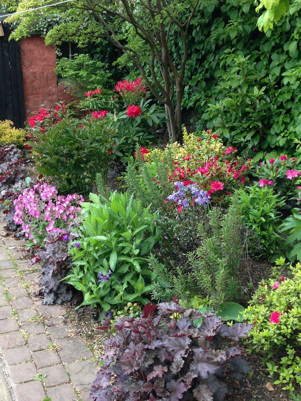 Small Cottage Garden Ideas