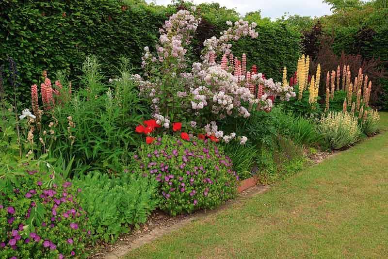 Wallington Hall England Google Search Cottage Garden Borders